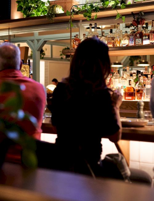 People sitting at a bar counter, enjoying drinks and socializing in a cozy, dimly-lit atmosphere with plants and bottles in the background.