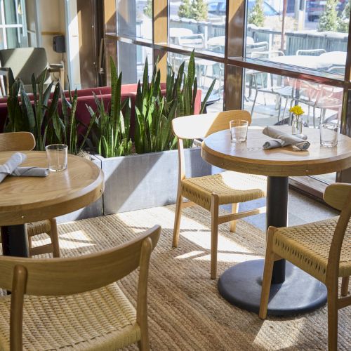 The image shows a cozy cafe setting with round wooden tables, chairs, plants, and natural light streaming through large windows.
